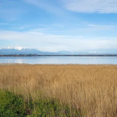 Apartament Les Terrasses Du Levant-24 By Interhome Canet-en-Roussillon