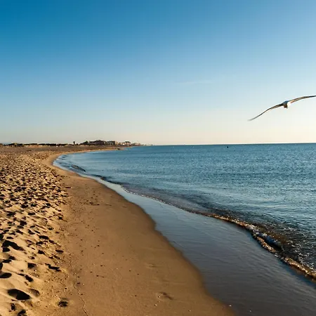 Les Terrasses Du Levant-24 By Interhome * Canet-en-Roussillon